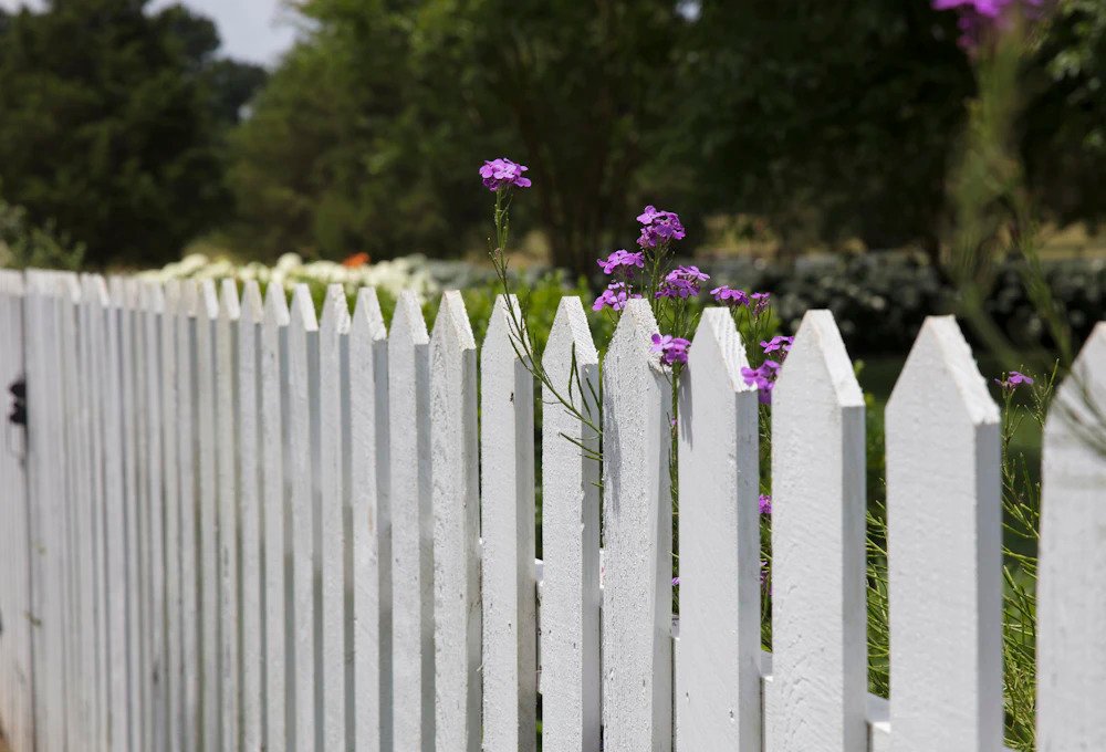 Fencing Image