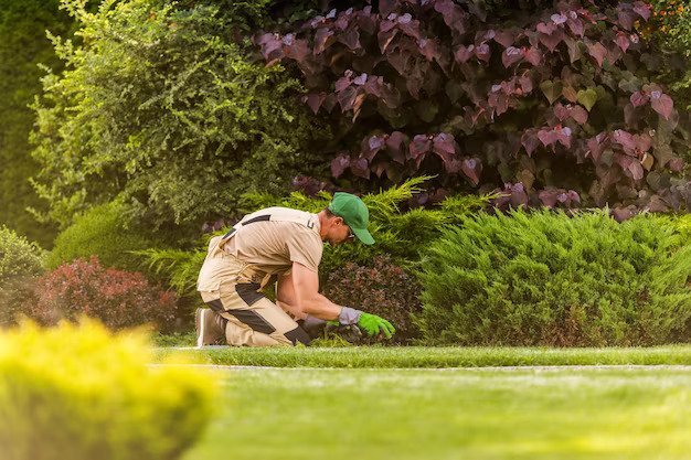 Gardening Image